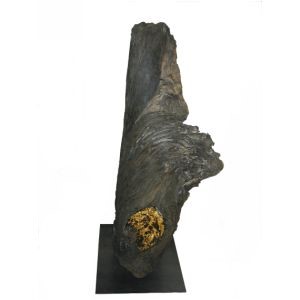 Nr.S003
Mooreiche
60 x 140
vergoldete Mooreiche
2006